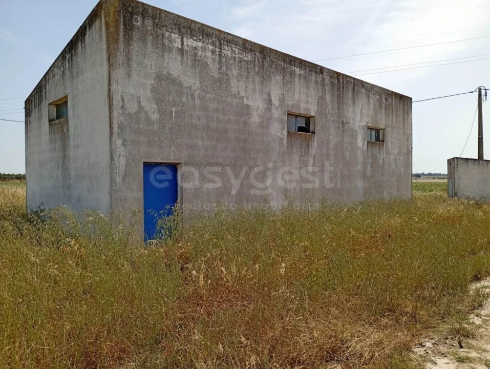 Terreno Agricola ou Rústico para Venda em Pegões Foto 13