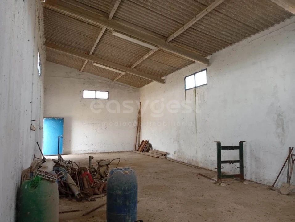 Terreno Agricola ou Rústico para Venda em Pegões Foto 15