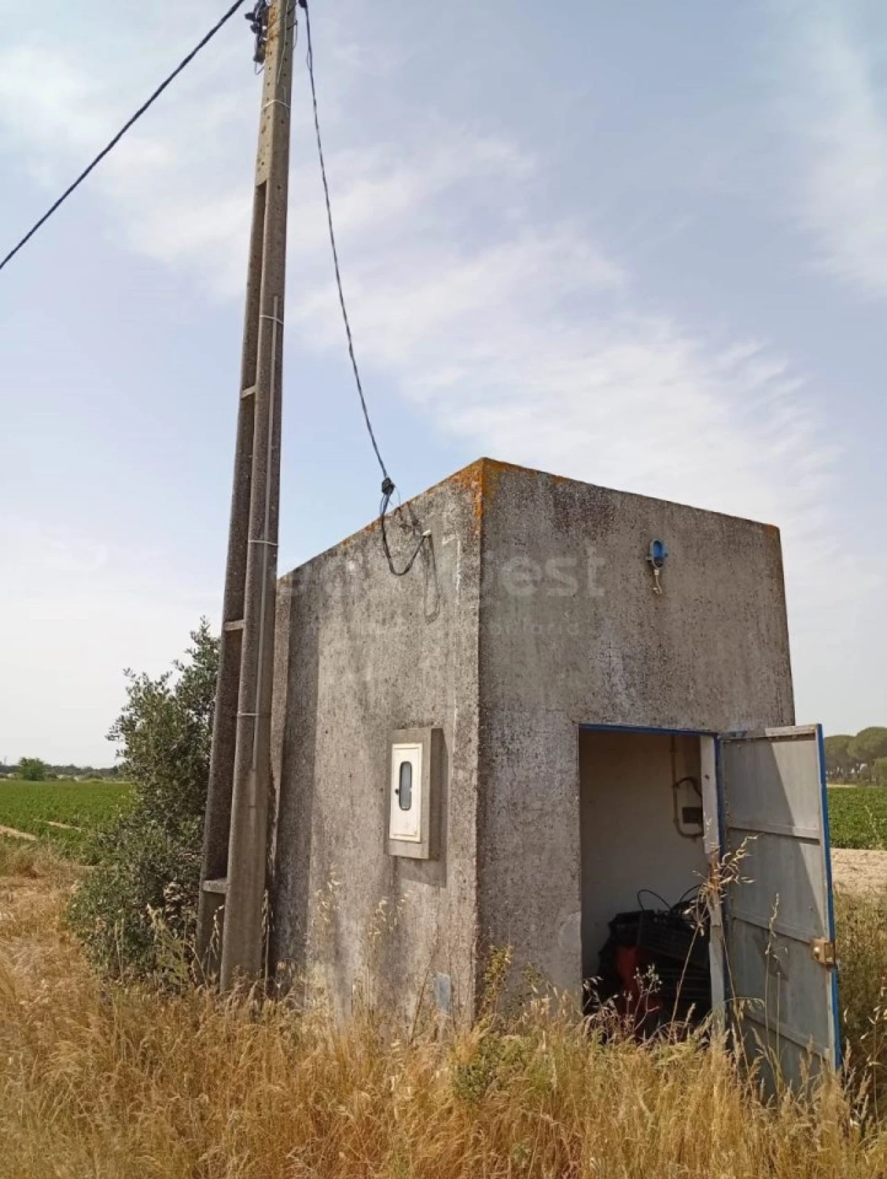 Terreno Agricola ou Rústico para Venda em Pegões Foto 17