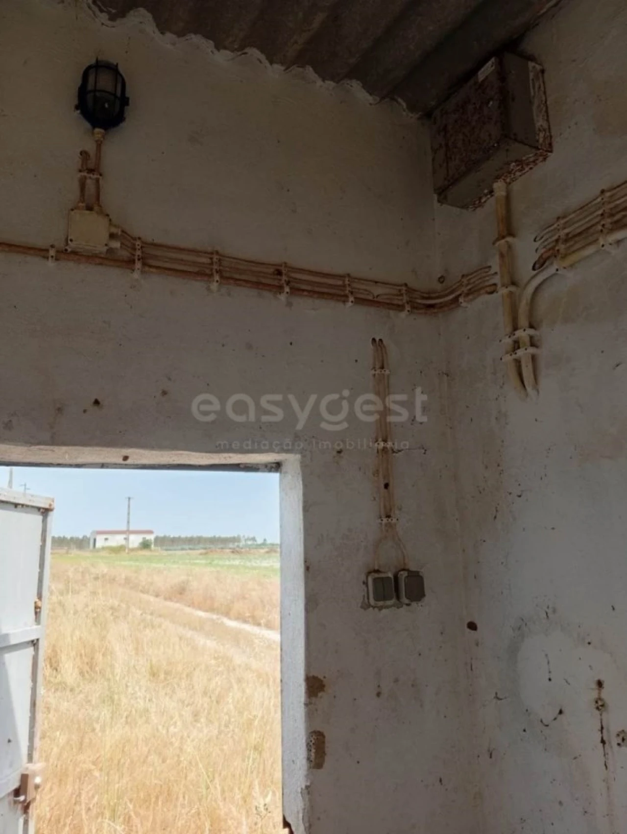 Terreno Agricola ou Rústico para Venda em Pegões Foto 18