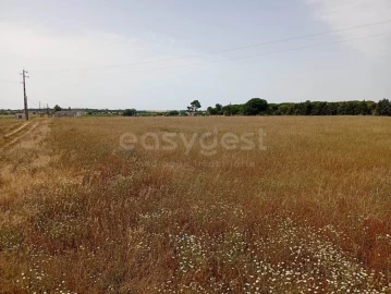 Terreno Agricola ou Rústico para Venda em Pegões