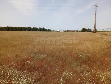 Terreno Agricola ou Rústico para Venda em Pegões