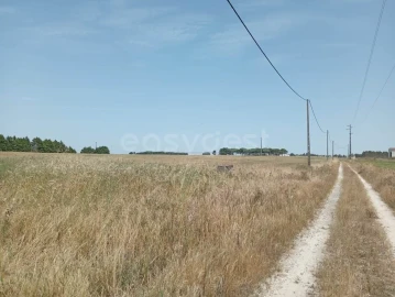 Terreno Agricola ou Rústico para Venda em Pegões