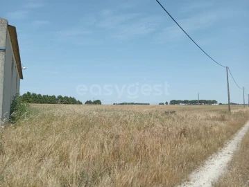 Terreno Agricola ou Rústico para Venda em Pegões