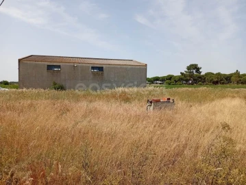 Terreno Agricola ou Rústico para Venda em Pegões