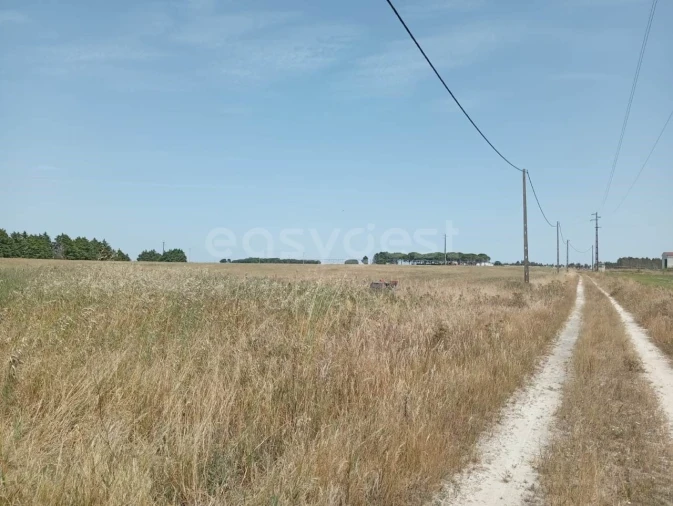 Terreno Agricola ou Rústico para Venda em Pegões Foto 4