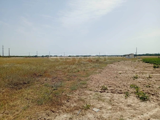 Terreno Agricola ou Rústico para Venda em Pegões Foto 7