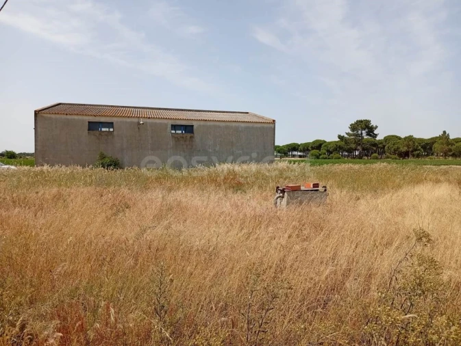 Terreno Agricola ou Rústico para Venda em Pegões Foto 10