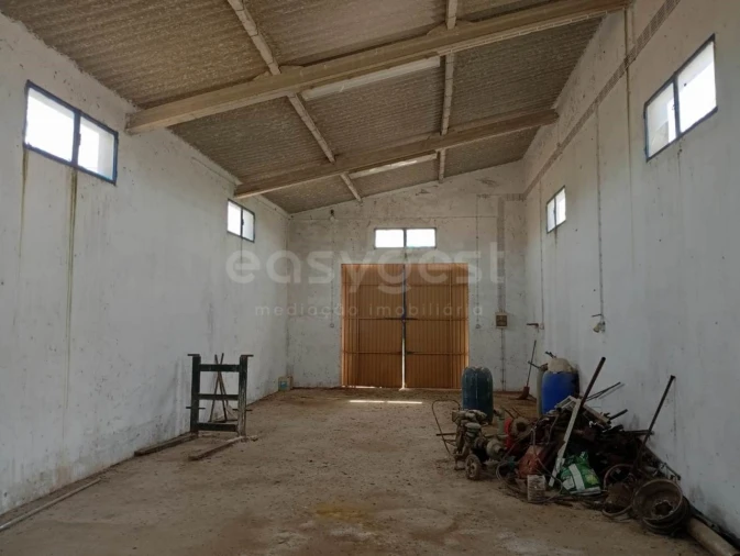Terreno Agricola ou Rústico para Venda em Pegões Foto 16
