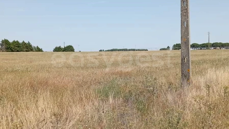 Terreno Agricola ou Rústico para Venda em Pegões