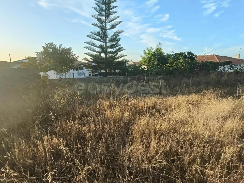 Terreno para Venda em Sesimbra (Castelo) Foto 3