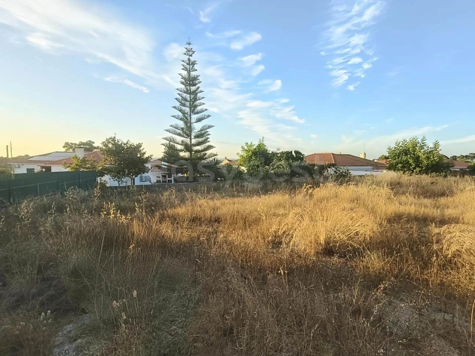 Terreno para Venda em Sesimbra (Castelo) Foto 8