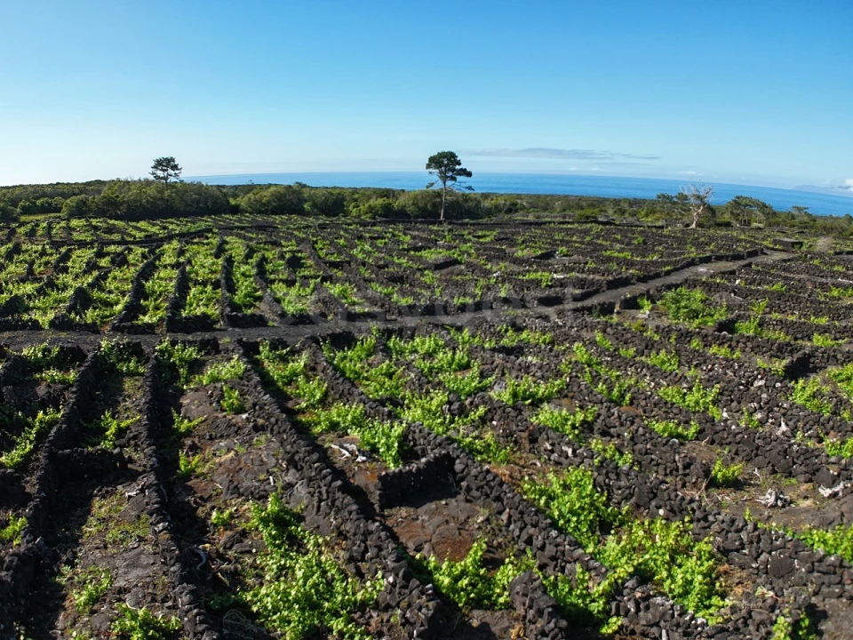 Terreno para Venda em Bandeiras Foto 1