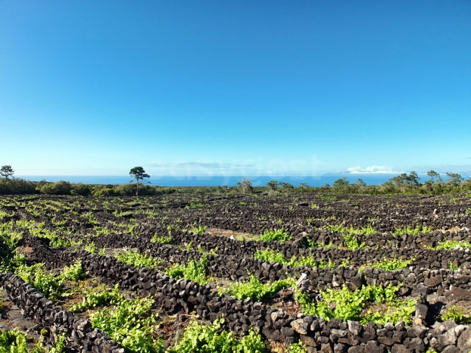 Terreno para Venda em Bandeiras Foto 3