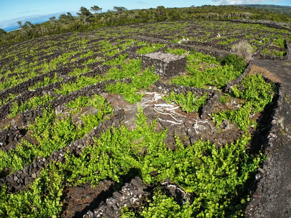 Terreno para Venda em Bandeiras Foto 9