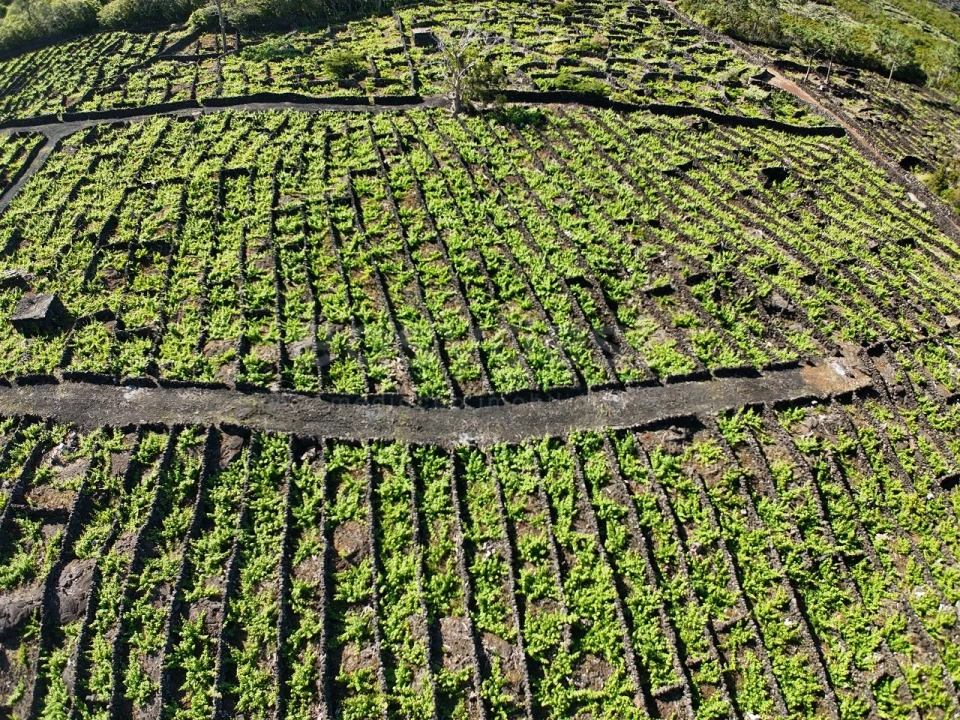 Terreno para Venda em Bandeiras Foto 15