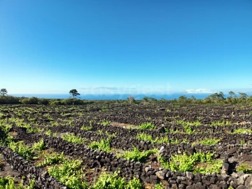 Terreno para Venda em Bandeiras