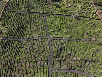 Terreno para Venda em Bandeiras
