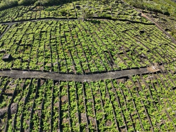 Terreno para Venda em Bandeiras