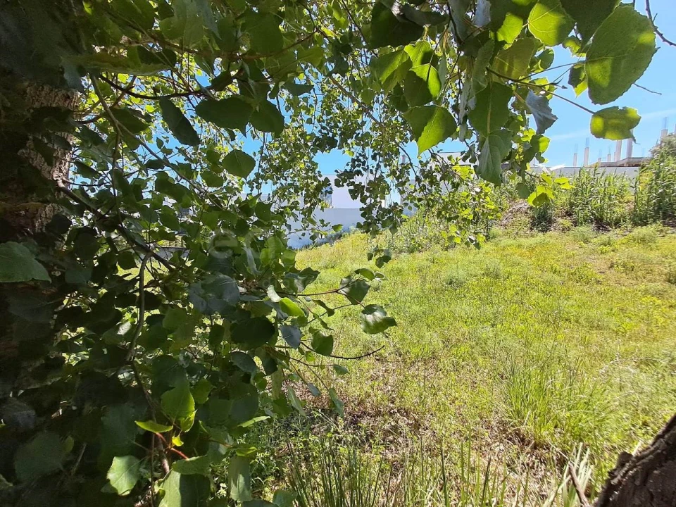 Terreno para Venda em Torres Novas (Santa Maria, Salvador e Santiago) Foto 9