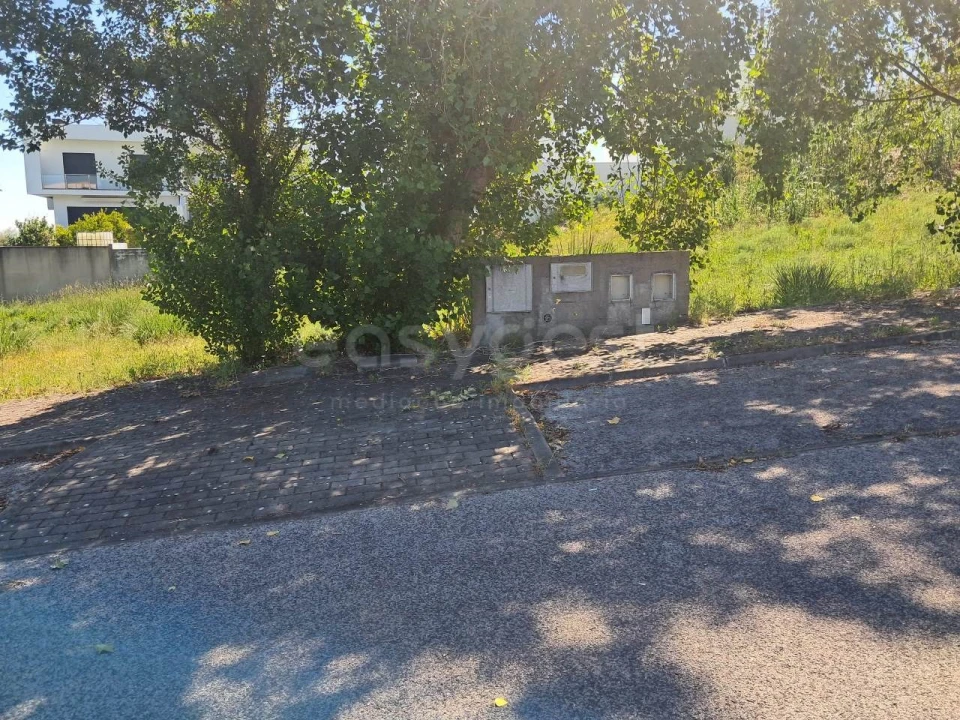Terreno para Venda em Torres Novas (Santa Maria, Salvador e Santiago) Foto 10