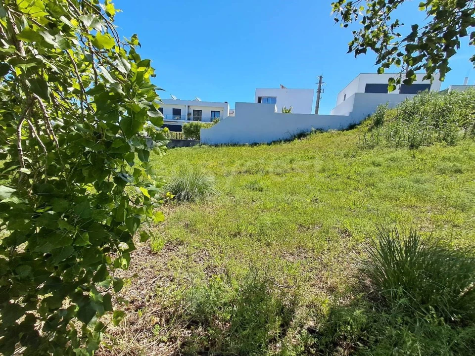 Terreno para Venda em Torres Novas (Santa Maria, Salvador e Santiago) Foto 2