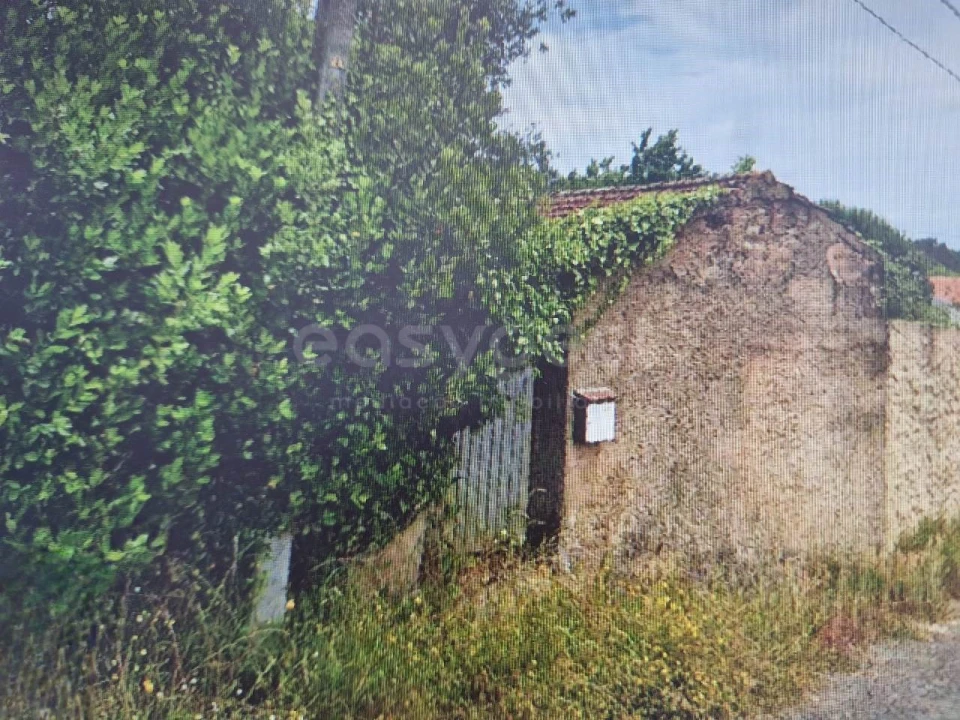 Moradia T1 para Venda em Alquerubim Foto 2