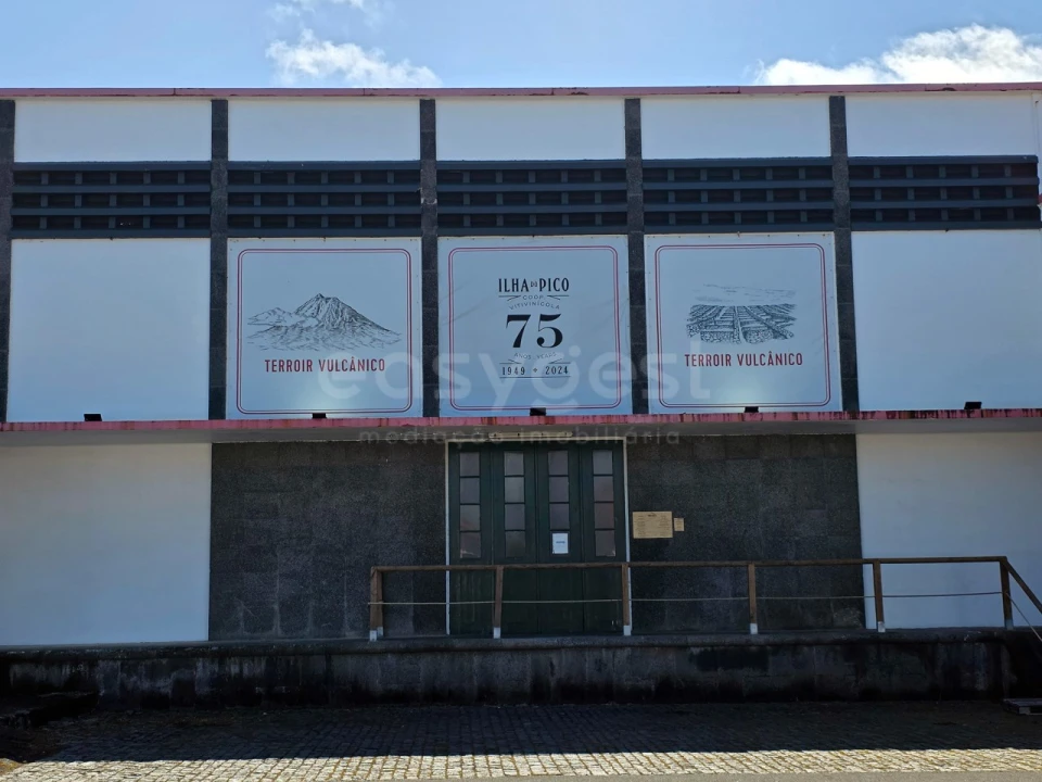 Apartamento T2 para Venda em Madalena Foto 19
