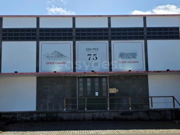 Apartamento T2 para Venda em Madalena