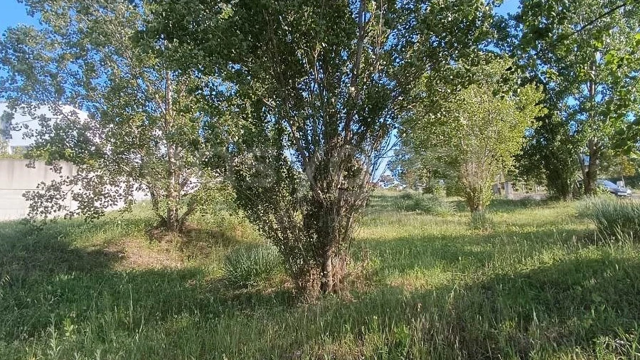 Terreno para Venda em Torres Novas (Santa Maria, Salvador e Santiago)