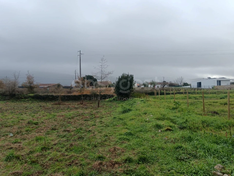 Terreno para Venda em Aljubarrota Foto 2