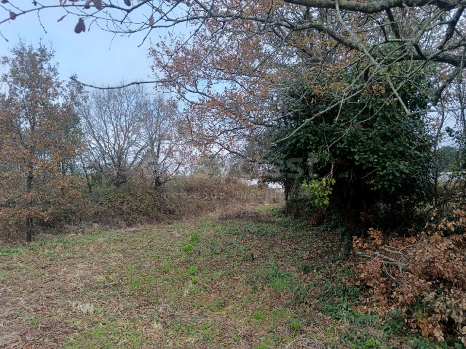 Terreno para Venda em Aljubarrota Foto 6