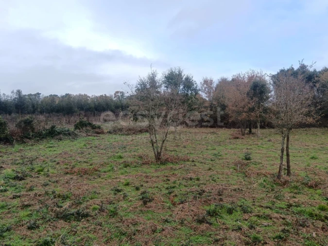 Terreno para Venda em Aljubarrota Foto 4