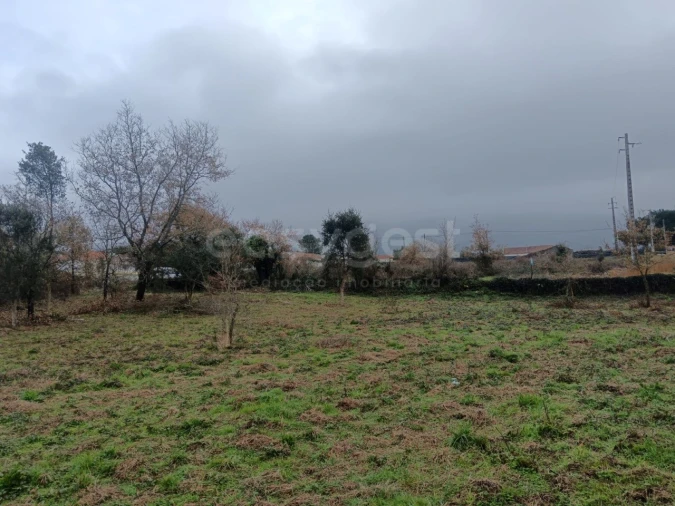 Terreno para Venda em Aljubarrota Foto 5