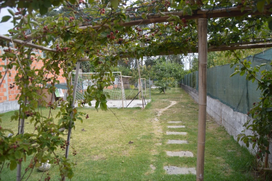 Moradia T3 para Venda em Requeixo, Nossa Senhora de Fátima e Nariz Foto 4