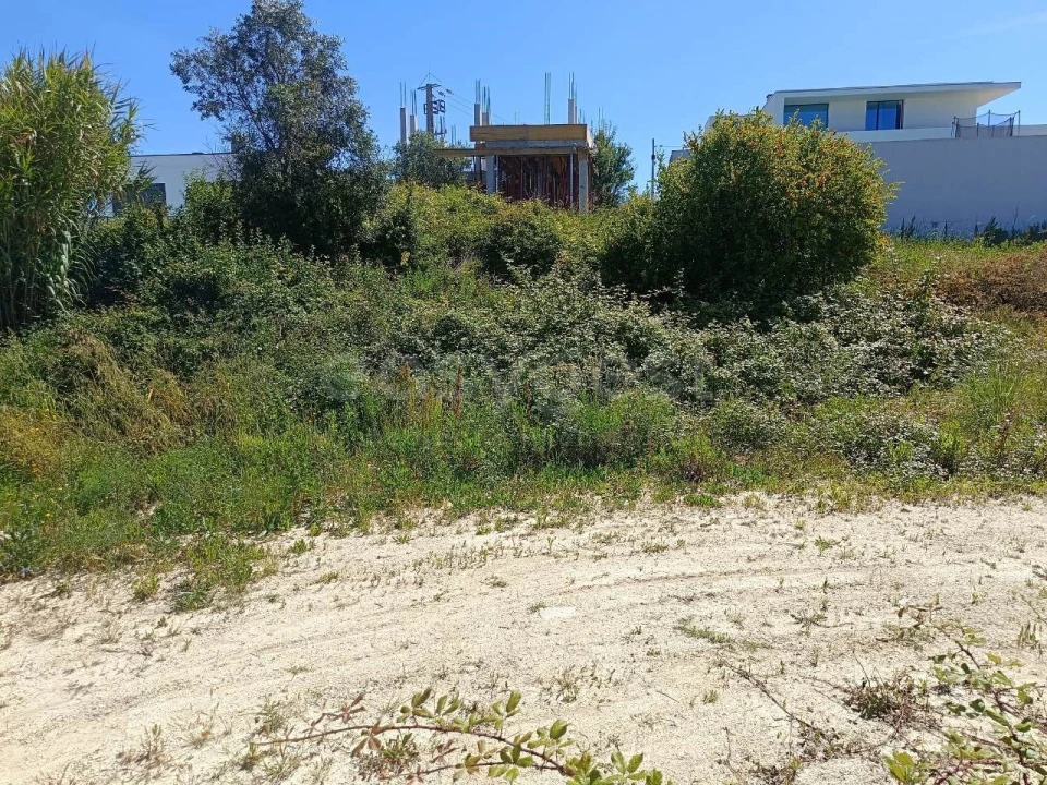 Terreno para Venda em Torres Novas (Santa Maria, Salvador e Santiago) Foto 12
