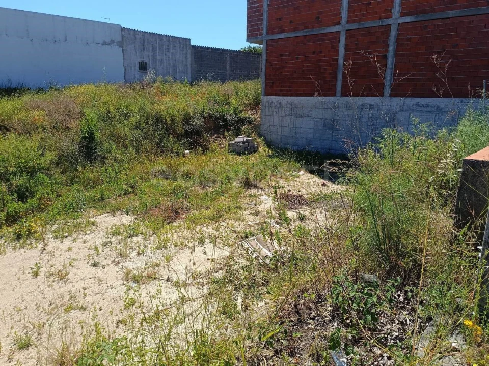 Terreno para Venda em Torres Novas (Santa Maria, Salvador e Santiago) Foto 13