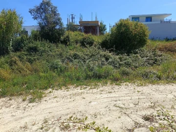 Terreno para Venda em Torres Novas (Santa Maria, Salvador e Santiago)