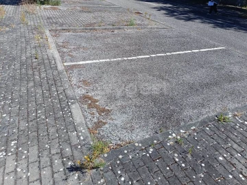 Terreno para Venda em Torres Novas (Santa Maria, Salvador e Santiago)
