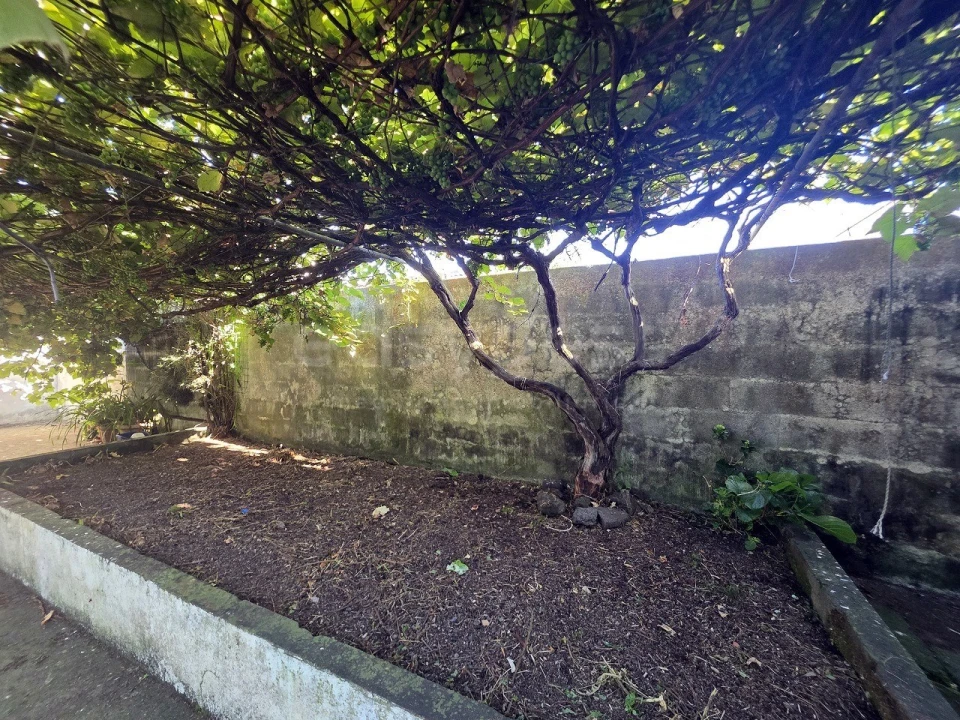 Moradia T5 para Venda em Ponta Delgada (São Sebastião) Foto 28
