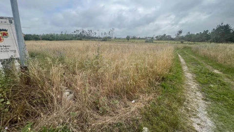 Terreno para Venda em Monte Redondo e Carreira