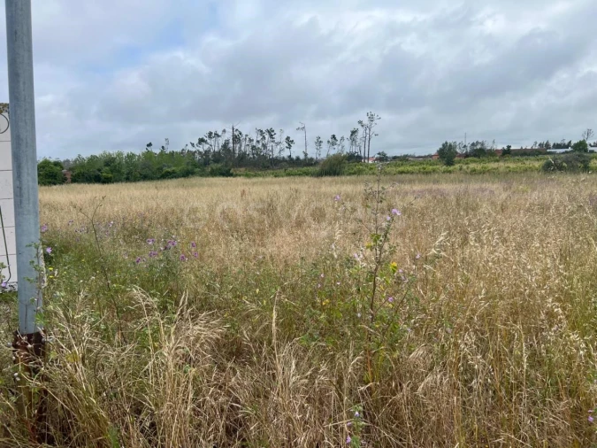 Terreno para Venda em Monte Redondo e Carreira Foto 2
