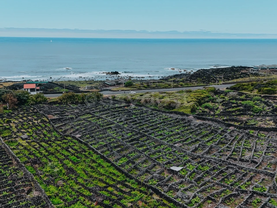 Terreno para Venda em Madalena Foto 1