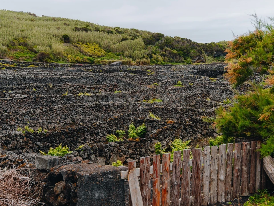 Terreno para Venda em Madalena Foto 6