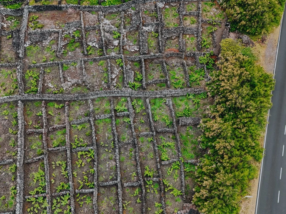 Terreno para Venda em Madalena Foto 8