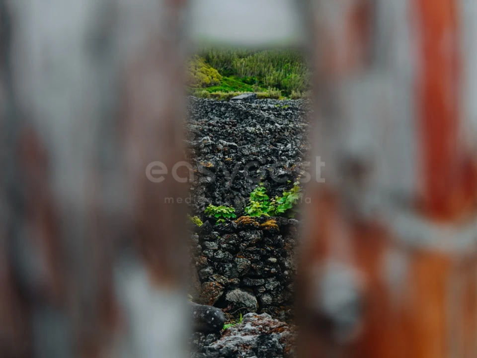 Terreno para Venda em Madalena Foto 11