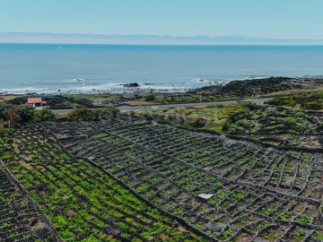 Terreno para Venda em Madalena