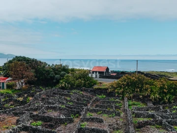 Terreno para Venda em Madalena
