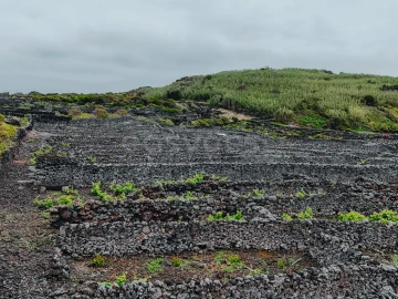 Terreno para Venda em Madalena