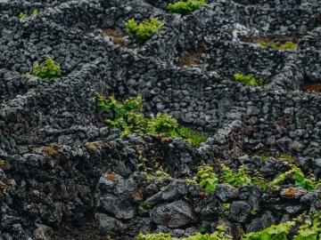 Terreno para Venda em Madalena